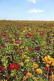 暗黑破坏神4加速器哪个好？暗黑4免费加速器推荐